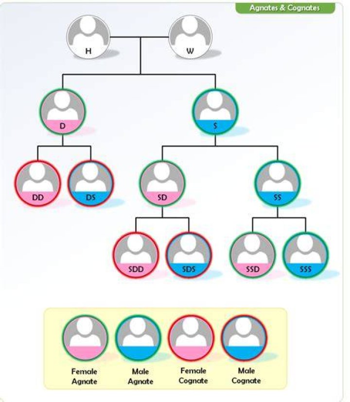 Inheritance Distribution, Gypsy-lupone