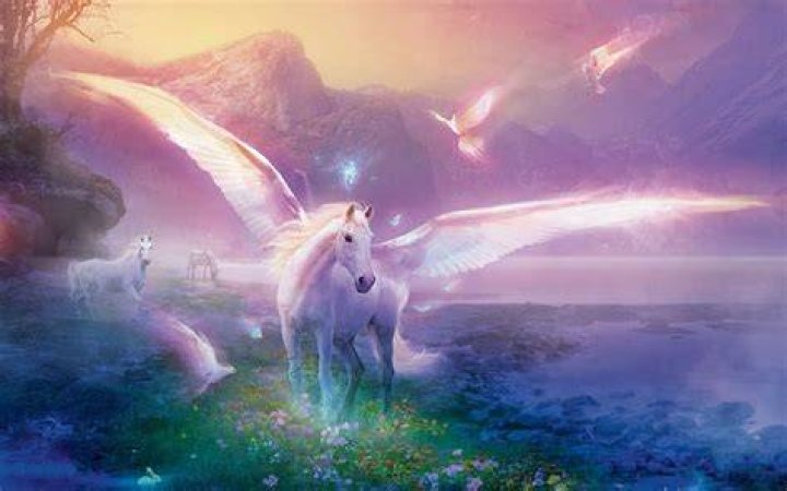 Real Unicorn Wallpapers Top Free Real Unicorn Backgrounds